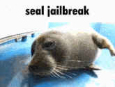 Seal Jail GIF - Seal Jail Jailbreak GIFs