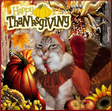 Vegan Thanksgiving GIF