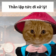 a cat wearing a red hat and a blue robe with the words thân lập tức di xử lý