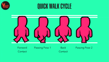 a quick walk cycle is shown on a green background with cartoon figures