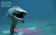 Hi Alyssa Alyssa GIF - Hi Alyssa Alyssa Shark GIFs