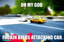 Angry Birds Omg GIF - Angry Birds Omg Epic GIFs