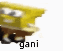 gani when the when the spongebob