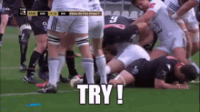 Try ! GIF - Fcg Grenoble Rugby GIFs