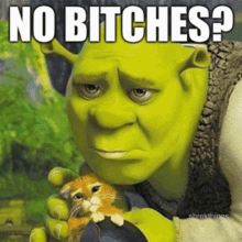 No Bitches Shrek Meme GIF - No Bitches Shrek Meme Meme GIFs
