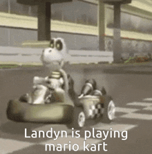 Mario Kart Dry Bones GIF - Mario Kart Dry Bones Landyn GIFs