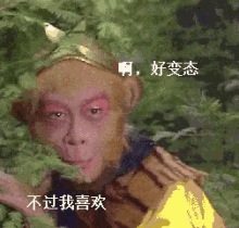 the journey to the west pervert monkey king
