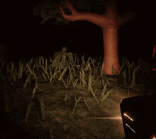 a silhouette of a person standing in a field of tall grass