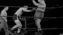 Boxing Lou Francis GIF - Boxing Lou Francis Abbott And Costello Meet The Invisible Man GIFs