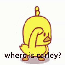 Carley Where Is Carley GIF - Carley Where Is Carley GIFs
