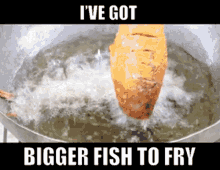 Bigger Fish To Fry Important Things To Do GIF