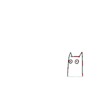 cat animation