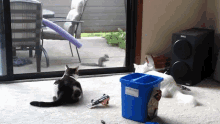 Cat Squirrel GIF - Cat Squirrel Oops GIFs