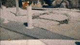 a blurry picture of a person standing on a sidewalk in front of a fence