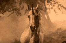 Real Unicorn GIF - Animals Unicorns Running GIFs