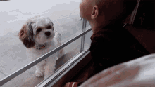 A Dog And A Kid Bonnie Hoellein GIF - A Dog And A Kid Bonnie Hoellein Adorable GIFs
