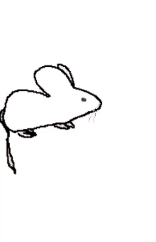 eme rat mouse white rat