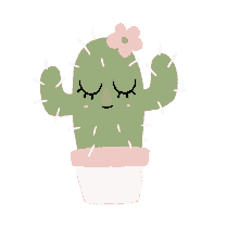 plant cacti