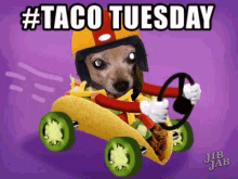 Taco Tuesday Happy GIF