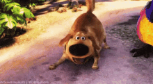 Up Dog GIF - Up Dog First Of The Month GIFs