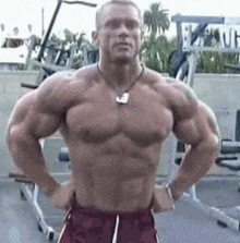 Muscle Man GIF - Muscle Man GIFs