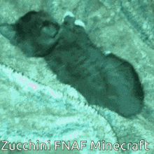 Zucchini Fnaf GIF - Zucchini Fnaf Minecraft GIFs