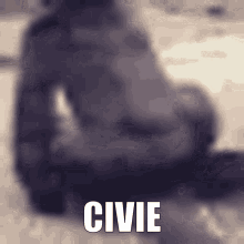 Civie Civitas GIF - Civie Civitas Civi GIFs