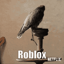 Roblox Is Bad Shit GIF