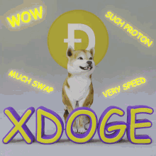 Xdoge Proton Doge GIF - Xdoge Proton Doge Proton Xpr GIFs