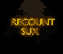 Recountsux GIF - Recountsux GIFs