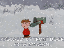 Charlie Brown Pissed Off GIF