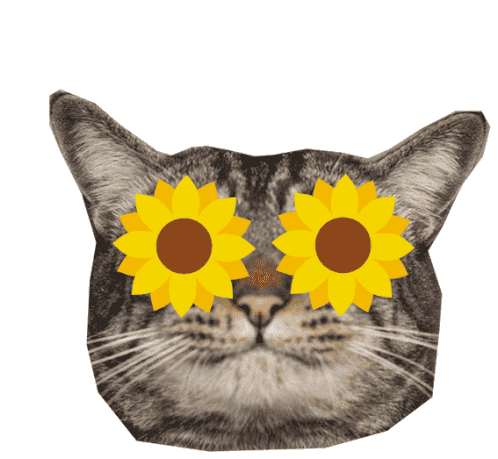 Cansei De Ser Gato Cat Sticker - Cansei De Ser Gato Cat Cats Stickers