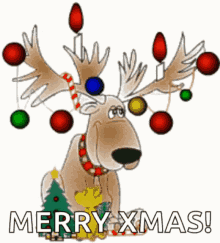 Merry Christmas GIF - Merry Christmas Reindeer GIFs