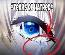 a picture of a person 's eye with the words tears of hatred above it