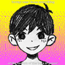 a black and white drawing of a boy with the words " horray now i know everything of the horrors of the beta of omori "