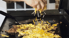 Sprinkling Some Cheese The Hungry Hussey GIF - Sprinkling Some Cheese The Hungry Hussey Scattering Some Cheese GIFs