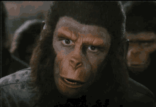 Planet Of The Apes Battle For The Planet Of The Apes GIF - Planet Of The Apes Battle For The Planet Of The Apes Ceasar GIFs