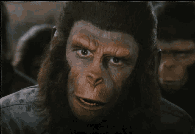 planet-of-the-apes-battle-for-the-planet-of-the-apes.gif