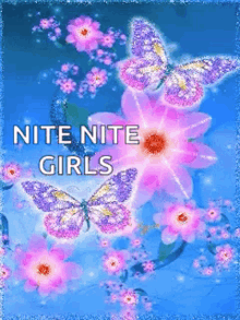 Nite Sparkles GIF - Nite Sparkles Butterflies GIFs
