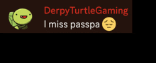 derpy turtle gaming dude it 's passpa i miss passa