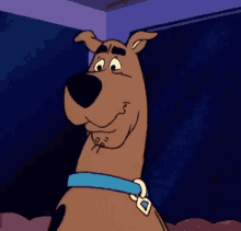 Sushichaeng Scooby Doo GIF - Sushichaeng Scooby Doo Scooby GIFs