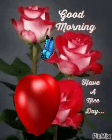 Flowers Have A Nice Day GIF - Flowers Have A Nice Day Good Morning GIFs