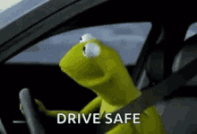 Drive Safe Puppet GIF - Drive Safe Puppet Driver GIFs