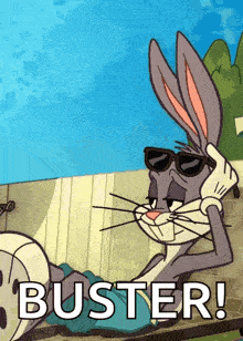 a cartoon of bugs bunny wearing sunglasses with the word buster behind him