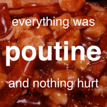 poutine canadian canada everything is poutine and nothing hurt food