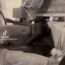 a dog is laying on a couch with a cat on it 's back .