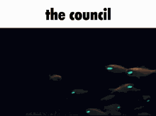 lantern council
