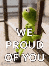 kermit the frog is leaning against a railing with the words `` we proud of you '' written on it .