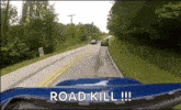 Nope Almost GIF - Nope Almost Road Kill GIFs