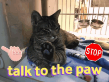 No Talk To The Hand GIF - No Talk To The Hand Funny Animals GIFs